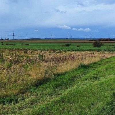 SPRZEDAŻ na DZIAŁKA w Słone